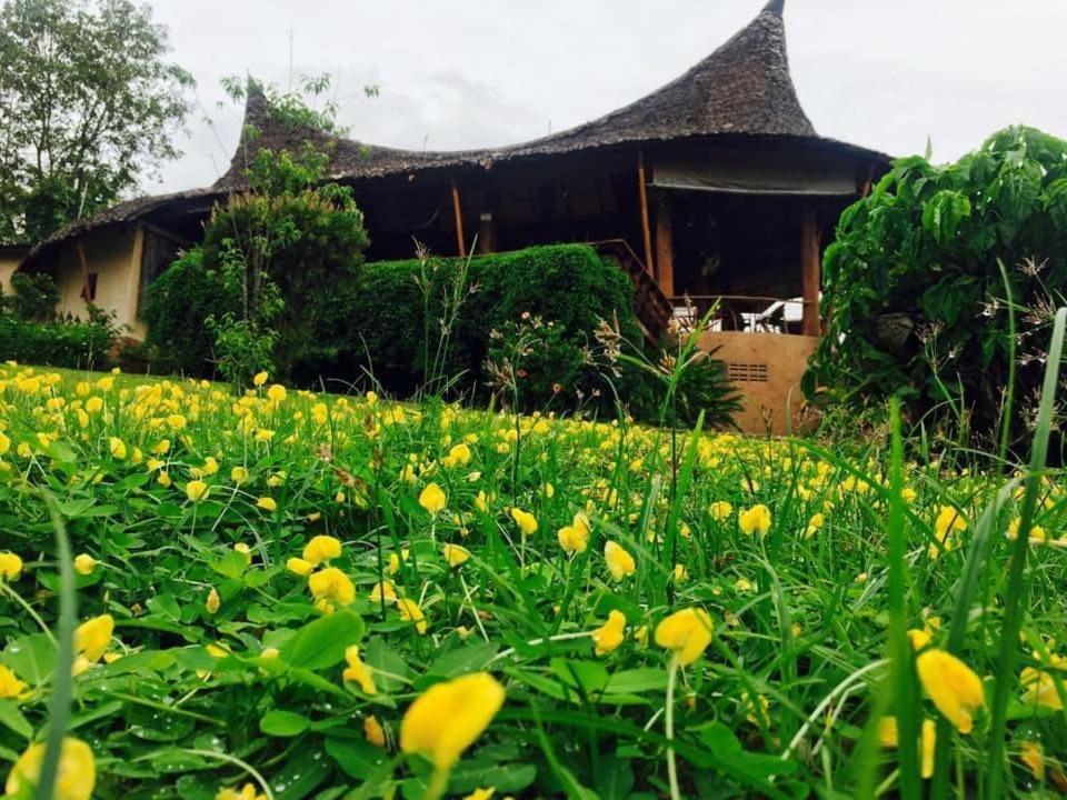 Mari Pai Resort Luaran gambar